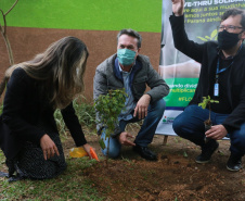 A primeira-dama Luciana Saito Massa, que preside o Conselho de Ação Solidária, e o secretário de Desenvolvimento Sustentável e do Turismo, Márcio Nunes, participam  da distribuição de mudas da campanha Floresce Paraná.F oto: Valdelino Pontes