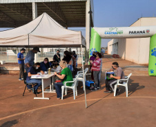 Programa CastraPet esteriliza gratuitamente animais em Guarapuava até a próxima terça-feira. Foto:SEDEST