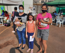 Programa CastraPet esteriliza gratuitamente animais em Guarapuava até a próxima terça-feira. Foto:SEDEST
