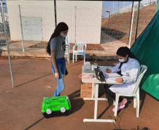 Programa CastraPet esteriliza gratuitamente animais em Guarapuava até a próxima terça-feira. Foto:SEDEST