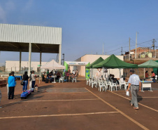 Programa CastraPet esteriliza gratuitamente animais em Guarapuava até a próxima terça-feira. Foto:SEDEST