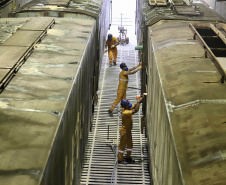 Das 34,89 milhões de toneladas de cargas que chegaram ou saíram do Porto de Paranaguá, entre de janeiro a julho deste ano, 6,72 milhões foram transportadas em vagões. O volume corresponde a 19,3% do total.  -  Foto: Claudio Neves/ Portos do Paraná