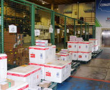 A Secretaria de Estado da Saúde (Sesa) iniciou a distribuição de mais 207.500 vacinas contra a Covid-19 nesta terça-feira (31). O lote é destinado integralmente para segunda dose (D2), sendo 116.750 doses da AstraZeneca, 64.350 Pfizer e 26.400 CoronaVac.  -  Curitiba, 31/08/2021  -  Foto; américo antonio/SESA