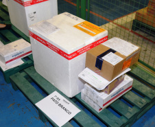 A Secretaria de Estado da Saúde (Sesa) iniciou a distribuição de mais 207.500 vacinas contra a Covid-19 nesta terça-feira (31). O lote é destinado integralmente para segunda dose (D2), sendo 116.750 doses da AstraZeneca, 64.350 Pfizer e 26.400 CoronaVac.  -  Curitiba, 31/08/2021  -  Foto; américo antonio/SESA