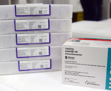 Ministério da Saúde confirma o envio de mais 166.560 segundas doses ao Paraná . Foto; Américo Antonio/SESA