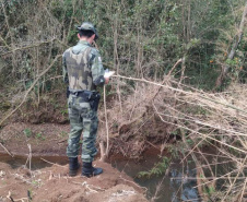 Policiais e agentes do IAT aplicam mais de R$ 1 milhão de multas e quatro pessoas são presas durante a Operação Nascente Viva  -  Curitiba, 31/08/2021  -  Foto: PMPR
