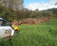 Policiais e agentes do IAT aplicam mais de R$ 1 milhão de multas e quatro pessoas são presas durante a Operação Nascente Viva  -  Curitiba, 31/08/2021  -  Foto: PMPR
