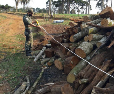 Policiais e agentes do IAT aplicam mais de R$ 1 milhão de multas e quatro pessoas são presas durante a Operação Nascente Viva  -  Curitiba, 31/08/2021  -  Foto: PMPR