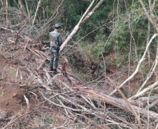 Policiais e agentes do IAT aplicam mais de R$ 1 milhão de multas e quatro pessoas são presas durante a Operação Nascente Viva  -  Curitiba, 31/08/2021  -  Foto: PMPR