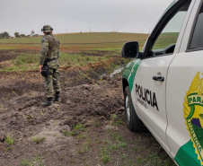 Estado aplica R$ 1 milhão em multas e apreende madeira nativa em ação contra o desmatamento  -  Curitiba, 31/08/2021  -  Foto: PMPR