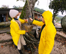 Portos do Paraná ensina tecnologia ?caxambu? nas comunidadesisoladas - Sistema de proteção de nascentes evita contaminação da água. Trabalho faz parte doprojeto de readequação de microssistemas de abastecimento de água nas áreas deabrangência dos portos paranaenses.  -  Paranaguá, 31/08/2021  -  Foto: Pierpaolo Notta/Portos do Paraná