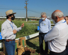 O  o secretário estadual da Agricultura e do Abastecimento, Norberto Ortigara, participa da abertura do 2º Show Rural Coopavel de Inverno, em Cascavel. Foto:SEAB