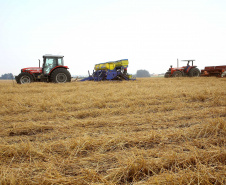 Produtores de milho começam plantio da primeira safra no Paraná.  Foto:Jaelson Lucas / Arquivo AEN