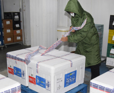 A Secretaria de Estado da Saúde (Sesa) recebeu na noite desta quinta-feira (2) mais 87.000 vacinas contra a Covid-19. As doses de AstraZeneca/Fiocruz desembarcaram no Aeroporto Internacional Afonso Pena, em São José dos Pinhais, às 20h05, no voo AD 4078 e foram enviadas para o Centro de Medicamentos do Paraná (Cemepar) para conferência e armazenamento, até que sejam repassadas aos municípos. - Curitiba, 02/09/2021 -  Foto: Américo Antonio/SESA