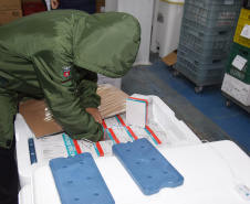 A Secretaria de Estado da Saúde (Sesa) recebeu na noite desta quinta-feira (2) mais 87.000 vacinas contra a Covid-19. As doses de AstraZeneca/Fiocruz desembarcaram no Aeroporto Internacional Afonso Pena, em São José dos Pinhais, às 20h05, no voo AD 4078 e foram enviadas para o Centro de Medicamentos do Paraná (Cemepar) para conferência e armazenamento, até que sejam repassadas aos municípos. - Curitiba, 02/09/2021 -  Foto: Américo Antonio/SESA