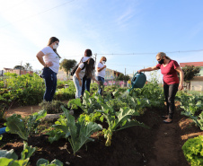 Visita a Horta Marumbi ?  A equipe da Secretaria da Agricultura e do Abastecimento do Paraná recebe equipe da SEAB Rondônia para apresentar soluçoes implantadas em Curitiba sobre o cultivo de alimentos. 03/09/2021 - Foto: Geraldo Bubniak/AEN