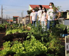 Visita a Horta Marumbi ?  A equipe da Secretaria da Agricultura e do Abastecimento do Paraná recebe equipe da SEAB Rondônia para apresentar soluçoes implantadas em Curitiba sobre o cultivo de alimentos. 03/09/2021 - Foto: Geraldo Bubniak/AEN