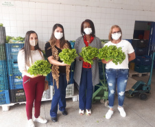 Visita a Horta Marumbi - A equipe da Secretaria da Agricultura e do Abastecimento do Paraná recebe equipe da SEAB Rondônia para apresentar soluções implantadas em Curitiba sobre o cultivo de alimentos. 03/09/2021 - Foto: SEAB