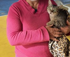 CastraPet Paraná realiza castração gratuita de 84 animais em Turvo. Foto: SEDEST