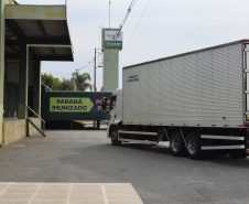 O Paraná recebeu mais 187.800 vacinas contra a Covid-19 da CoronaVac/Butantan neste sábado (4). As vacinas foram entregues no Centro de Medicamentos do Paraná (Cemepar) para conferência e armazenamento até que sejam descentralizados. A remessa faz parte da 47ª pauta de distribuição.  -  Curitiba, 04/09/2021  -  Foto: Américo Antonio/SESA