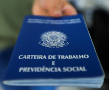 Semana começa com 3.527 vagas ofertadas pelas Agências do Trabalhador  -  Foto: Geraldo Bubniak/AEN