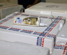 A Secretaria de Estado da Saúde recebeu nesta segunda-feira (6) mais 115.782 doses de vacinas contra a Covid-19. As doses da Pfizer/BioNTech desembarcaram no Aeroporto Internacional Afonso Pena, em São José dos Pinhais, às 15h30, no voo LA4791 e são referente à 53% da segunda dose (D2) da 28ª pauta.  -  Curitiba, 06/09/2021  -  Foto: Ari Dias/AEN