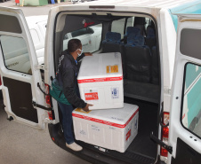 Distribuição vacinas para os municípios  -  Foto: Américo Antonio/SESA