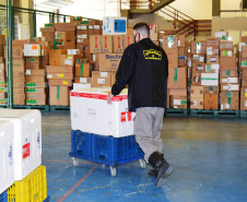 Distribuição vacinas para os municípios  -  Foto: Américo Antonio/SESA