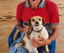 O Programa Permanente de Esterilização de Cães e Gatos (CastraPet Paraná)se despede do município de Boa Ventura de São Roque, no Centro do Estado,nessa sexta-feira (10) com o dever cumprido.  -  Curitiba, 10/09/2021  -  Foto: SEDEST