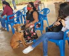 O Programa Permanente de Esterilização de Cães e Gatos (CastraPet Paraná)se despede do município de Boa Ventura de São Roque, no Centro do Estado,nessa sexta-feira (10) com o dever cumprido.  -  Curitiba, 10/09/2021  -  Foto: SEDEST