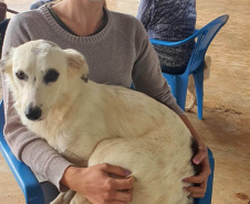 O Programa Permanente de Esterilização de Cães e Gatos (CastraPet Paraná)se despede do município de Boa Ventura de São Roque, no Centro do Estado,nessa sexta-feira (10) com o dever cumprido.  -  Curitiba, 10/09/2021  -  Foto: SEDEST