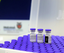 O Ministério da Saúde confirmou o envio de 303.030 vacinas contra a Covid-19 da Pfizer/BioNTech nesta segunda-feira (13) ao Paraná. Os imunizantes fazem parte da 50ª pauta de distribuição e são destinados integralmente à aplicação de primeiras doses (D1). -  Curitiba, 13/09/2021 -  Foto: Américo Antonio/Arquivo SESA