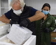 Paraná recebe mais 303 mil vacinas contra a Covid-19 para primeira dose. Foto: Américo Antonio/SESA