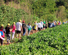 IDR-Paraná prepara retorno das Caminhadas na Natureza  -  Curitiba, 14/09/2021  -  Foto: IDR-PARANÁ