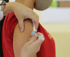 8 milhões de paranaenses iniciaram a imunização contra a Covid-19, quase 92% da população adulta. Foto: Geraldo Bubniak/AEN