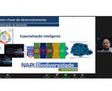 Estado investe em pesquisas sobre conservação da biodiversidade e mudanças climáticas  -  Curitiba, 14/09/2021  -  Foto: Fundação Araucária