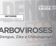  Informe da dengue registra 50 novos casos da doença no Estado
