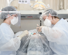 Clínica de Odontologia da UENP atende a 22 municípios do Norte Pioneiro do Paraná. Foto: UENP