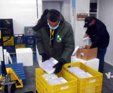 A Secretaria de Estado da Saúde (Sesa) recebeu mais 63.180 vacinas contra a Covid-19 da Pfizer/BioNTech nesta quarta-feira (15). O voo LA-3443 desembarcou no Aeroporto Internacional Afonso Pena, em São José dos Pinhais, às 12h55.-  Curitiba, 15/09/2021  -  Foto: Américo Antonio/SESA