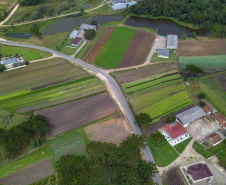  O produtor Bruno Schules, 32, de São José dos Pinhais, na Região Metropolitana de Curitiba (RMC), é um dos agricultores que trabalham com olericultura no Estado e recebem atendimento da Emater.  -  São José dos Pinhais, 04/04/2019  -  Foto: José Fernando Ogura/ANPr