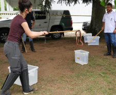 O Instituto Água e Terra (IAT), órgão vinculado à Secretaria de Estado do Desenvolvimento Sustentável e do Turismo (SEDEST), realizará o treinamento de voluntários interessados a participarem do Programa de Cuidados e Reabilitação Intensiva de Animais Silvestres (CRIA).  -  Curitiba, 16/09/2021  -  Foto: IAT