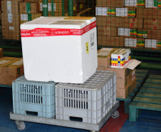 A Secretaria de Estado da Saúde (Sesa) iniciou a distribuição de mais 258.640 vacinas contra a Covid-19 nesta sexta-feira (17). São 127.390 primeiras doses (D1) e 131.250 segundas aplicações (D2). Os imunizantes fazem parte da 47ª e 51ª pauta de distribuição do Ministério da Saúde.  -  Curitiba, 17/09/2021  -  Foto: Américo Antonio/SESA