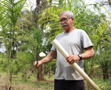 PARANA AGRO - Produçao de Palmito na cidade de Guaraquecaba no litoral do Estado. Na foto, o agricultor Francelino Guilherme Cogrossi - 13/09/21 - Foto: Geraldo Bubniak/AEN