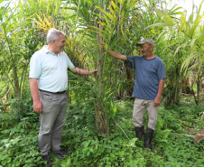 PARANA AGRO - Produçao de Palmito na cidade de Guaraquecaba no litoral do Estado. Na foto o agricultor Antonio (Toninho) Rosa e  Sebastião Bellettini, gerente regional da Emater em Paranaguá. 13/09/21 - Foto: Geraldo Bubniak/AEN