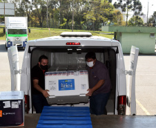 Com a ajuda das vacinas contra a Covid-19 que o Paraná recebeu nesta segunda-feira (20), a Secretaria de Estado da Saúde dará início a mais uma etapa da campanha de vacinação com a aplicação das doses de reforço (terceira dose).. Foto: Américo Antonio/SESA