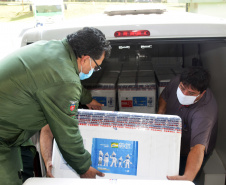 Com a ajuda das vacinas contra a Covid-19 que o Paraná recebeu nesta segunda-feira (20), a Secretaria de Estado da Saúde dará início a mais uma etapa da campanha de vacinação com a aplicação das doses de reforço (terceira dose).. Foto: Américo Antonio/SESA