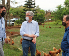 O trabalho de um consórcio intermunicipal e o apoio do governo estadual estão ajudando a fortalecer a agricultura familiar na região do Vale do Ivaí, no Norte do Paraná