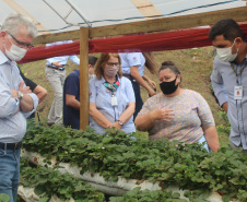 O trabalho de um consórcio intermunicipal e o apoio do governo estadual estão ajudando a fortalecer a agricultura familiar na região do Vale do Ivaí, no Norte do Paraná