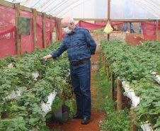 O trabalho de um consórcio intermunicipal e o apoio do governo estadual estão ajudando a fortalecer a agricultura familiar na região do Vale do Ivaí, no Norte do Paraná