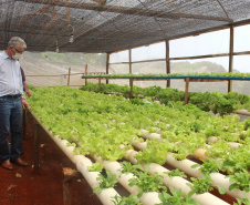 O trabalho de um consórcio intermunicipal e o apoio do governo estadual estão ajudando a fortalecer a agricultura familiar na região do Vale do Ivaí, no Norte do Paraná